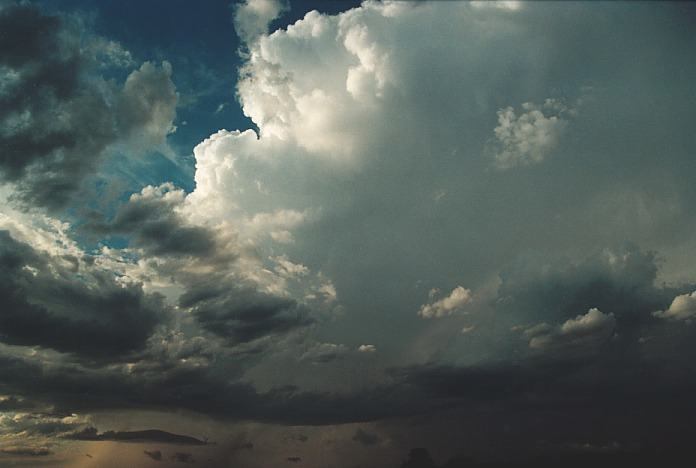 updraft thunderstorm_updrafts : N of Kempsey, NSW   5 November 2000