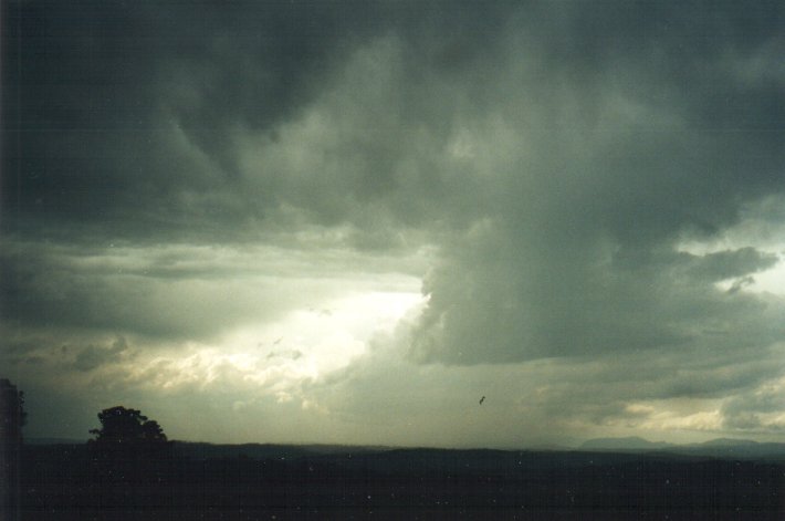 cumulonimbus thunderstorm_base : McLeans Ridges, NSW   5 November 2000