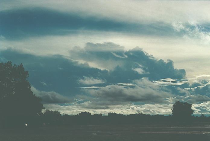 thunderstorm cumulonimbus_calvus : Byrock, NSW   18 November 2000