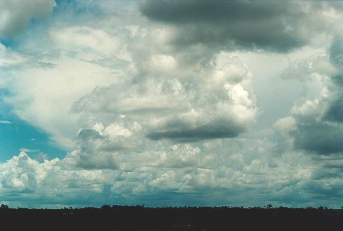 thunderstorm cumulonimbus_incus : 10km W of Morven, Qld   20 November 2000