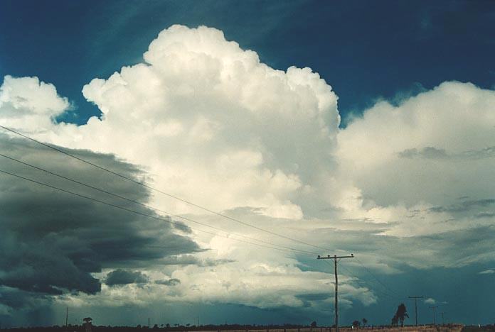 cumulonimbus supercell_thunderstorm : E of Roma, Qld   20 November 2000