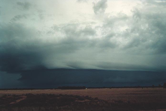 shelfcloud shelf_cloud : W of Chinchilla, Qld   20 November 2000