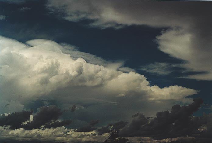 pileus pileus_cap_cloud : Taroom, Qld   21 November 2000