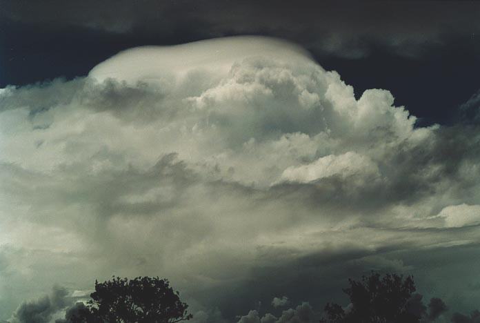 thunderstorm cumulonimbus_incus : 105km N of Miles, Qld   21 November 2000