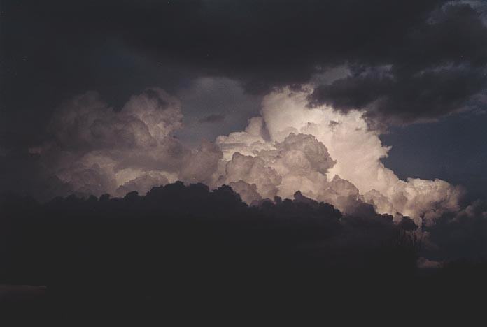 thunderstorm cumulonimbus_calvus : 40km N of Banana, Qld   21 November 2000