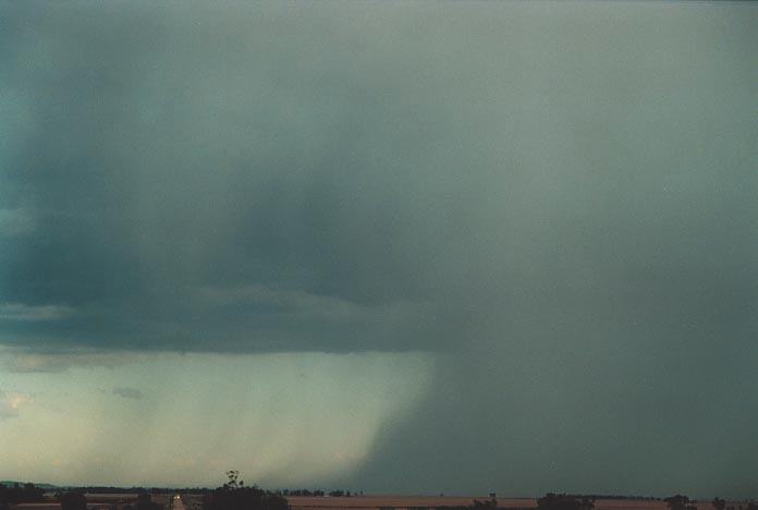 microburst micro_burst : Mullaley, NSW   28 November 2000