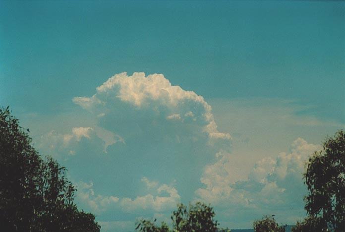 thunderstorm cumulonimbus_calvus : Singleton Heights, NSW   30 November 2000