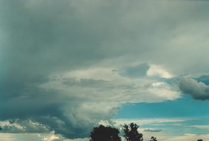 cumulonimbus thunderstorm_base : NW of Singleton, NSW   30 November 2000