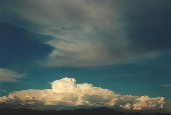 anvil thunderstorm_anvils : NW of Singleton, NSW   30 November 2000