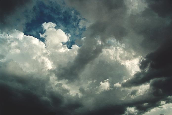 cumulus congestus : W of Inverell, NSW   4 December 2000