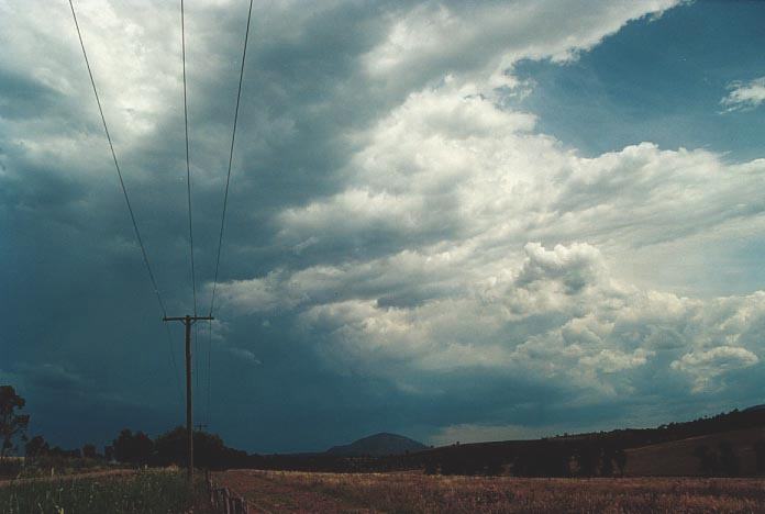 cumulonimbus thunderstorm_base : N of Jerrys Plains, NSW   6 December 2000