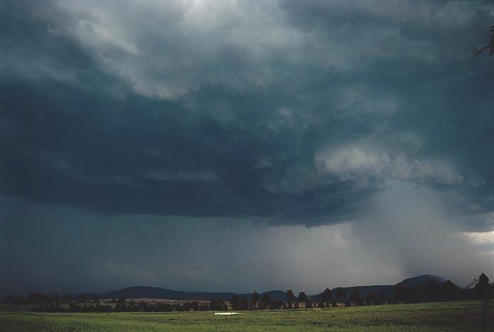 raincascade precipitation_cascade : W of Jerrys Plains, NSW   6 December 2000