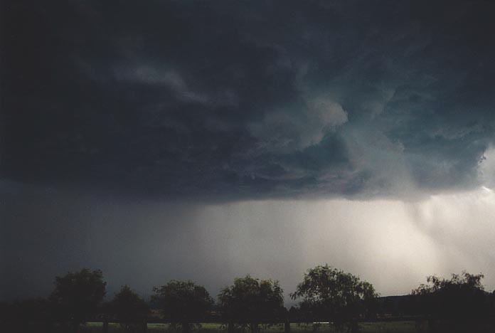 cumulonimbus supercell_thunderstorm : W of Jerrys Plains, NSW   6 December 2000