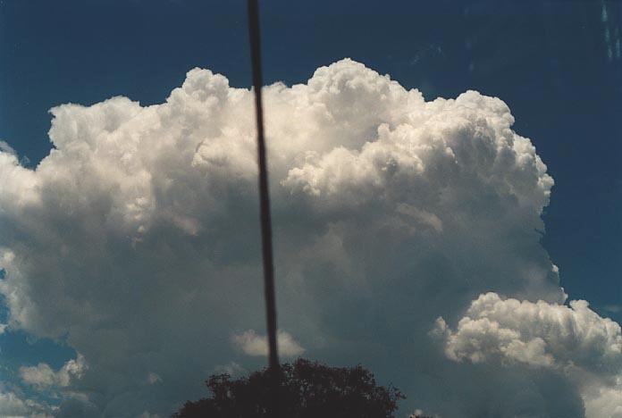 updraft thunderstorm_updrafts : W of Walcha NSW   7 December 2000