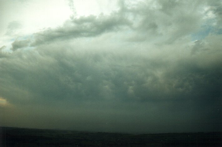 mammatus mammatus_cloud : McLeans Ridges, NSW   7 December 2000