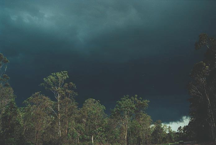 cumulonimbus thunderstorm_base : Grafton, NSW   8 December 2000