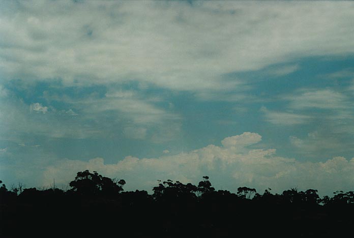 altocumulus altocumulus_cloud : Lithgow, NSW   6 January 2001