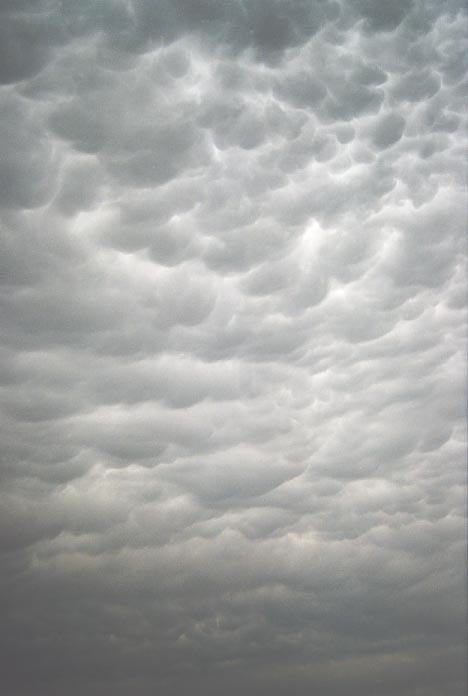 mammatus mammatus_cloud : W of Woodward, Oklahoma, USA   27 May 2001