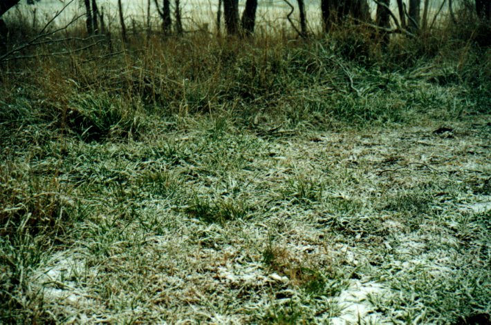 snow snow_pictures : Ben Lomond, NSW   8 July 2001