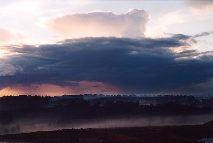 fogmist fog_mist_frost : Schofields, NSW   10 July 2001