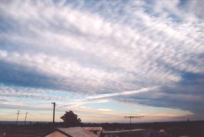 altocumulus mackerel_sky : Schofields, NSW   16 August 2001