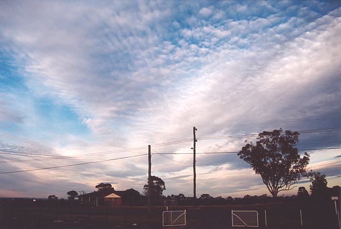 altocumulus mackerel_sky : Schofields, NSW   16 August 2001