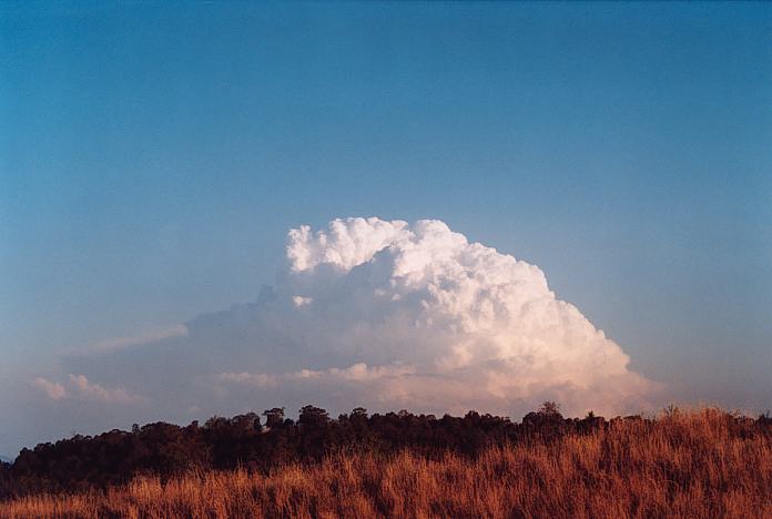 updraft thunderstorm_updrafts : Jerrys Plains, NSW   1 September 2001