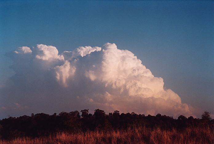 updraft thunderstorm_updrafts : Jerrys Plains, NSW   1 September 2001