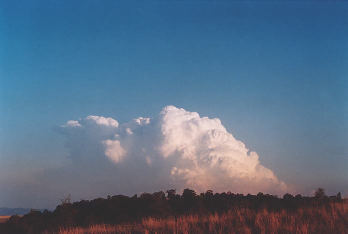 cumulonimbus supercell_thunderstorm : Jerrys Plains, NSW   1 September 2001