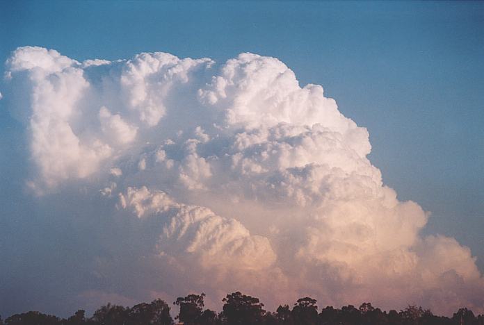 cumulonimbus supercell_thunderstorm : Jerrys Plains, NSW   1 September 2001