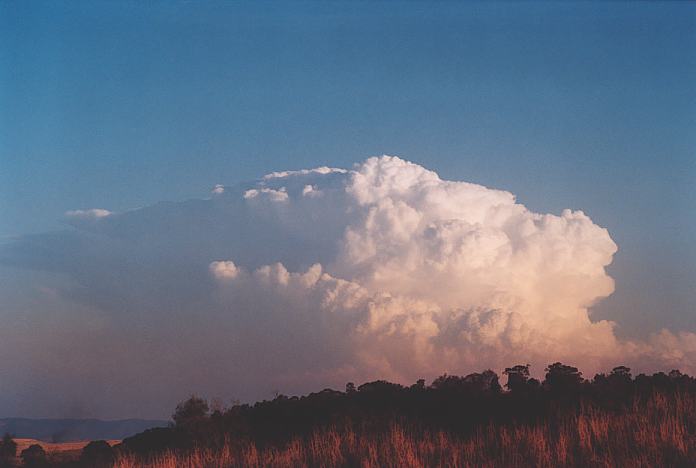 updraft thunderstorm_updrafts : Jerrys Plains, NSW   1 September 2001