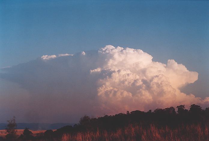 cumulonimbus supercell_thunderstorm : Jerrys Plains, NSW   1 September 2001