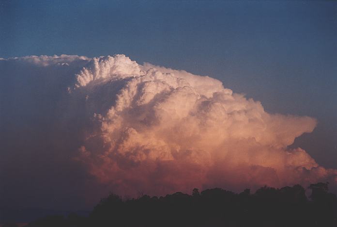 updraft thunderstorm_updrafts : Jerrys Plains, NSW   1 September 2001