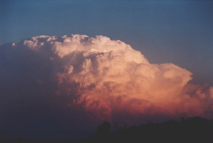 updraft thunderstorm_updrafts : Jerrys Plains, NSW   1 September 2001