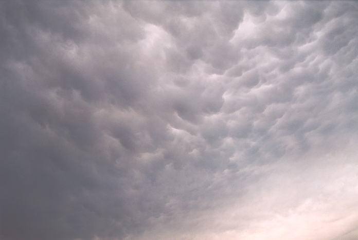 mammatus mammatus_cloud : S of The Oaks, NSW   2 October 2001