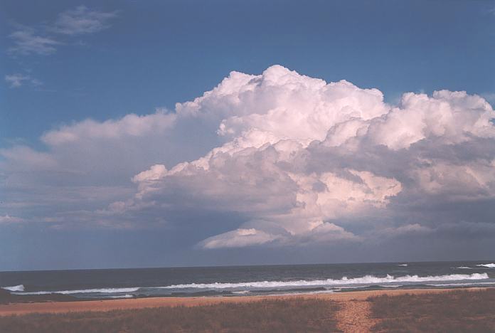 cumulonimbus supercell_thunderstorm : Hallidays Point, NSW   3 October 2001