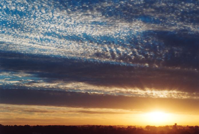 altocumulus altocumulus_cloud : Schofields, NSW   30 October 2001