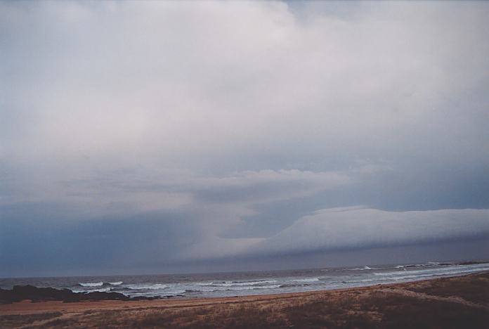 pileus pileus_cap_cloud : Hallidays Point, NSW   24 November 2001