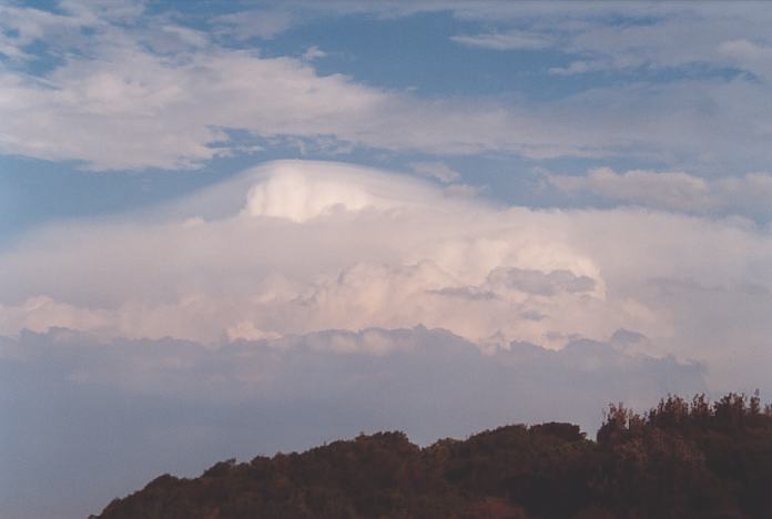 cumulonimbus supercell_thunderstorm : Hallidays Point, NSW   24 November 2001