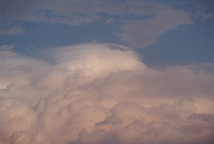 pileus pileus_cap_cloud : Hallidays Point, NSW   24 November 2001