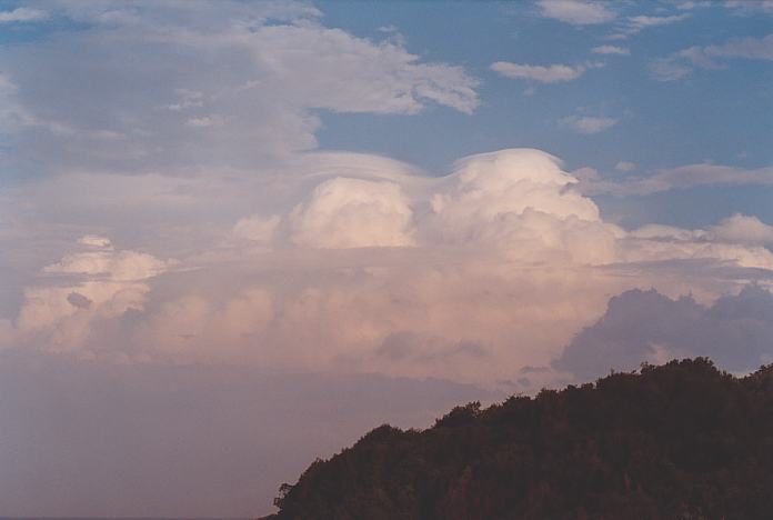 cumulonimbus supercell_thunderstorm : Hallidays Point, NSW   24 November 2001