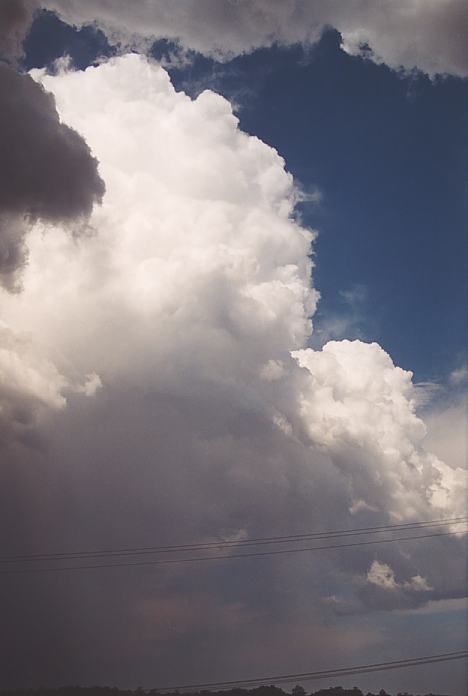 raincascade precipitation_cascade : Bellingen, NSW   3 December 2001