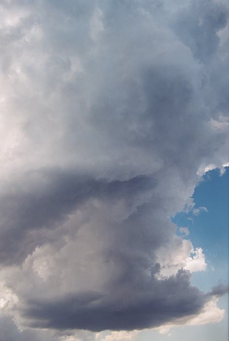 cumulonimbus thunderstorm_base : near Urunga, NSW   4 December 2001