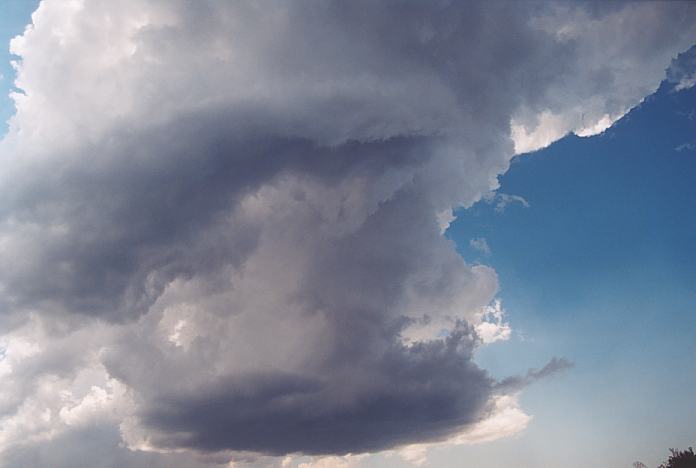 updraft thunderstorm_updrafts : near Urunga, NSW   4 December 2001