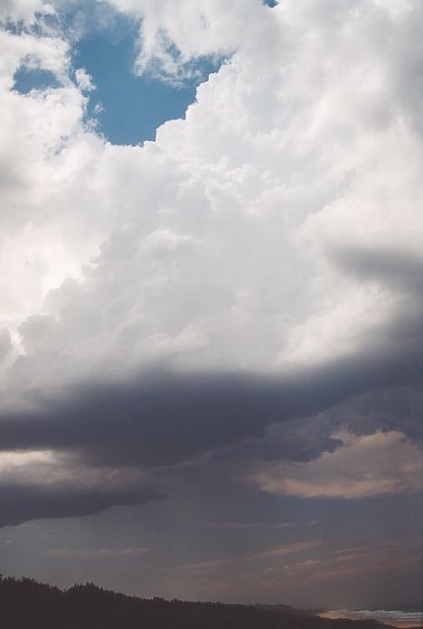 cumulonimbus thunderstorm_base : North Beach, NSW   4 December 2001