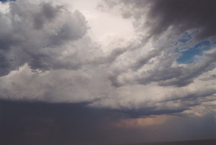 cumulonimbus thunderstorm_base : North Beach, NSW   4 December 2001