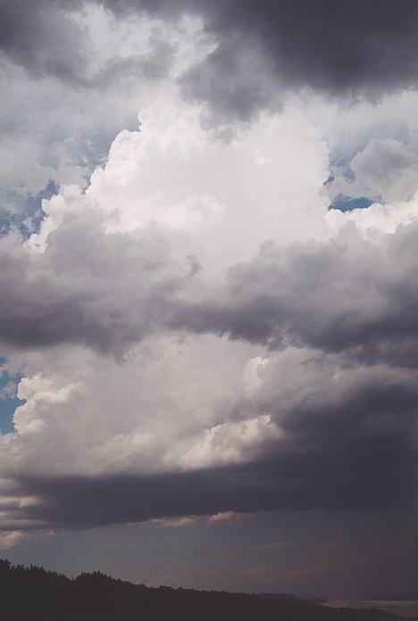 thunderstorm cumulonimbus_incus : North Beach, NSW   4 December 2001