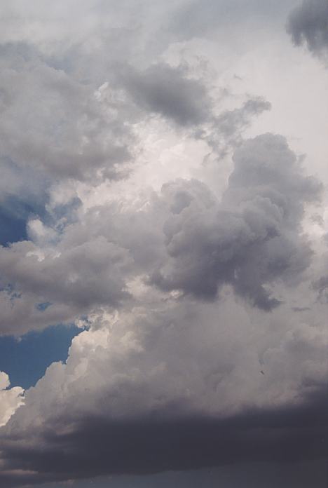 cumulonimbus thunderstorm_base : North Beach, NSW   4 December 2001