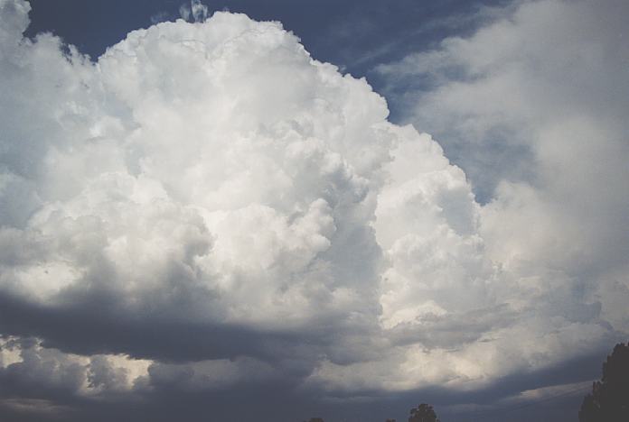 updraft thunderstorm_updrafts : Repton, NSW   4 December 2001