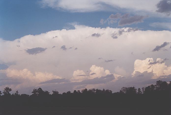 anvil thunderstorm_anvils : Warrell Creek, NSW   4 December 2001